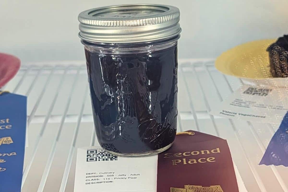 Jars of prickly pear jelly with a 2nd place State Fair ribbon” beats “award-winning prickly pear jelly recipe.